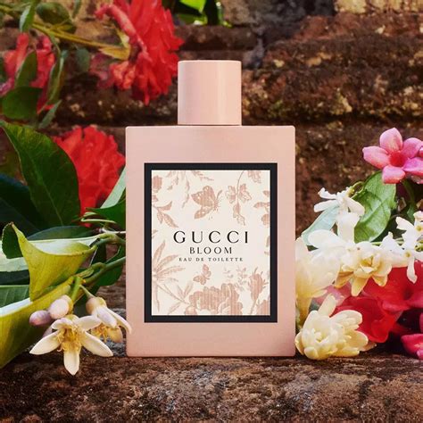 gucci bloom eau de parfum review|gucci bloom perfume smell.